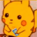 piesrgr8