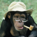 jay33t#9925's avatar