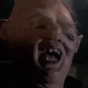 nobsevilgenius