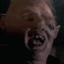 nobsevilgenius