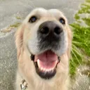 teddi7