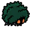 wrayk