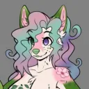 xyliamai