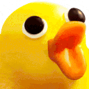 upsetducks