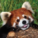 breetzen member profile picture