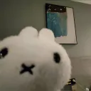 hiemipon