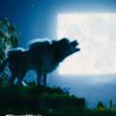 avatar Lady.Wolf