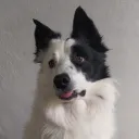 monagua