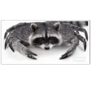 zipperkiller