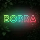 borra400