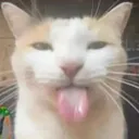 ploxyzero