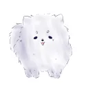 swoo_23