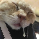 russianfederation6456