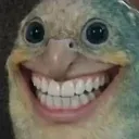 smashalicia