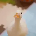 luwan