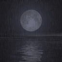 zen.v