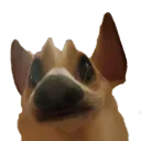 toniboi