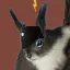 spoof_squirrel3998
