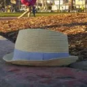 lostfedora