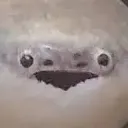 kitsumyr