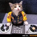 breakcat avatar