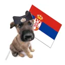 bogdanbogi