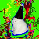 novoluke