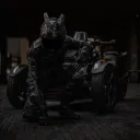 rydhoggrz
