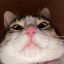 gullysdad