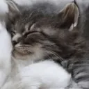 nayaa