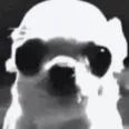 sqbon