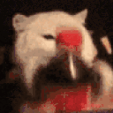 suiika.
