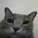 blurbbed