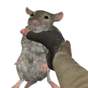 dvark