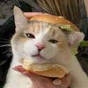 kottoburini