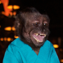 Monkeydealer