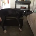 max_808