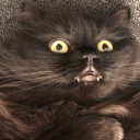 cyber_plague#3128's avatar