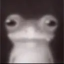 tempie420