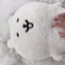 auriiace