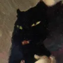 odite