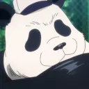 ty_84_plus