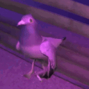 .q_u_e_n.t_i_n_