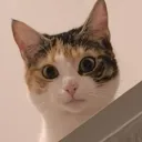 kaeloug