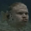 _zen7_7_