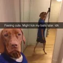 notreallytrying