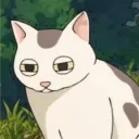 mooncat_br