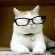 kitti4794