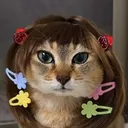 meinmestar