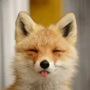 castironfox